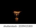 Small photo of Electricity. Dark background. carbon arc on blackbackground. Vintage petro incandescent lamp.