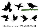 Set Of Blackbird Silhouettes....