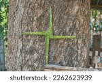 Small photo of St. Brigid's cross made from green rushes.