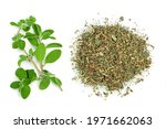Oregano or marjoram leaves fresh and dry isolated on white background with clipping path. Top view. Flat lay