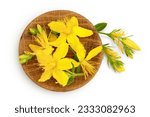 Small photo of saint john's wort or Hypericum flowers in wooden bowl isolated on white background. Top view. Flat lay