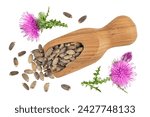Small photo of Seeds of a milk thistle or Silybum marianum, Scotch Thistle, Marian thistle in wooden scoop with flower isolated on white background. Top view