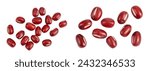 Red adzuki beans isolated on...