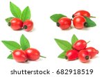 Rose Hip Berry With Leaf...