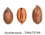 Single Pecan Nut Isolated On...