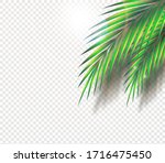 set of palm leaves and exotic... | Shutterstock .eps vector #1716475450