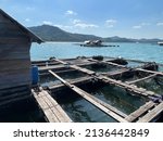 Fish And Lobster Cage In Krabi
