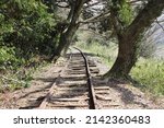 Abandoned railway tracks in Japan