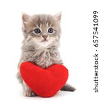 Kitten With Toy Heart Isolated...