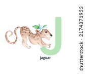 Letter J  Jaguar  Kids Animals...