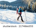 Small photo of A woman walks in snowshoes in the snow, winter trekking, a person in the mountains in winter, hiking equipment