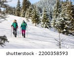 two girls with backpacks walk through the snow among the trees. winter hiking in the mountains. adventure in the mountains.