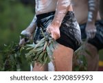 Small photo of Australian Indigenous Ceremony, man's hand with green branches, start a dance for a ritual rite at a community event in Adelaide, South Australia