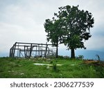  Dilapidated Wooden Hut On The...
