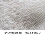 abstract nature background macro of Sajor-caju Mushroom plants. Using idea design texture pattern concept natural or wallpaper.