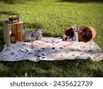 Patriotic themed picnic set up