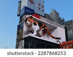 Small photo of The hyperrealistic, enormous 3D calico cat in Shinjuku on the Cross Shinjuku Vision screen. The cat is standing as if onlooking the passersby. Shinjuku, Tokyo, Japan. January 8th 2023.
