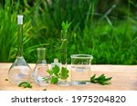 Biology glassware, Biotechnology flask and glass, Natural organic and scientific extraction, Alternative green herb medicine, skin care, beauty products, drug research. Chemical compounds