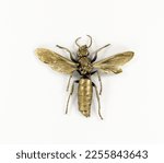 Small photo of Golden wasp, insect with wings covered with gold isolated on white background macro close up. Unusual wasp, original extraordinary creative design element