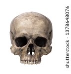 Human Skull  Isolated