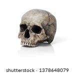 Human skull  isolated