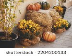 Pumpkins With  Flowers And...