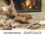 Small photo of Cute cat lying on cozy blanket at fireplace close up, autumn hygge. Adorable tabby kitty relaxing at fireplace on background of owner in warm sweater with cup of tea in rustic farmhouse.