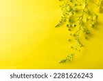 Small photo of Cassia fistula flower isolated on yellow background, Vishu festival greeting image