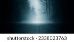 Small photo of Dark empty scene, night landscape, gloomy forest, nature scene with forest and moonlight, night view of the forest, fog, smog, smoke, street asphalt floor, mystical magic theme
