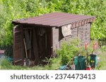 Small photo of Garden shed for tools. A small shed for all garden utensils.A slightly neglected garden plot.The owner has opened the shed and is taking out the necessary equipment and resources to bring order .