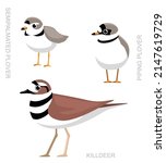 Cute Bird Plover Killdeer Set Cartoon Vector