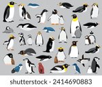 penguin town various species...