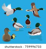 Swimming Mallard image - Free stock photo - Public Domain photo - CC0 ...