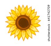 sunflower. isolated flower on... | Shutterstock .eps vector #641742709
