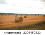 Straw Bales On Farmland With...