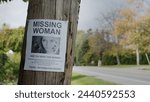 Poster for a missing young...