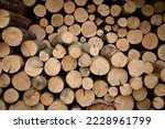 rown logs, firewood for home heating in winter, pine, oak logs, wood, heating in winter, without gas and electricity, preparation for winter to keep warm in winter, even firewood cut and stacked symm
