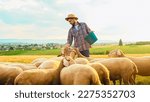 Small photo of Tired Caucasian male farmer feeding herd of sheep. Summer workday. Handsome man worker in meadow with livestock. Shepherd working in farm. Outdoor. Eco pasture. Farming concept.
