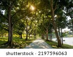 Small photo of A sunlight walking path at Bedok Reservoir, Singapore.