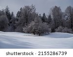 Calm winter landscape scene with sunrays touching a snow plain and trees in the background