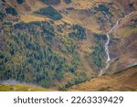 Hohe Tauern pine woodland and waterfall from above Grossglockner road at dawn, Austria