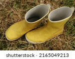 Yellow Rubber Boots Left In The ...