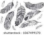 set of feathers vector... | Shutterstock .eps vector #1067499170