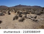 Arid desert landscape of western Mojave desert in California, USA with the dry land of sand and rocks, the dried out bushes and desert vegetation in the foreground and the blue summer sky in the back.
