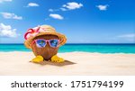 Small photo of Coconut with sunglasses and Strawhat at tropical beach - Holiday Vacation Concept
