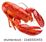 Red Lobster Isolated On White...