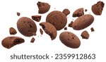 Small photo of Chocolate cookies isolated on white background
