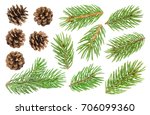 Fir Tree Branch And Pine Cones...