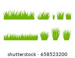 Vector Green Grass  Natural ...