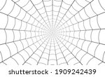 spider web  net of thread... | Shutterstock .eps vector #1909242439